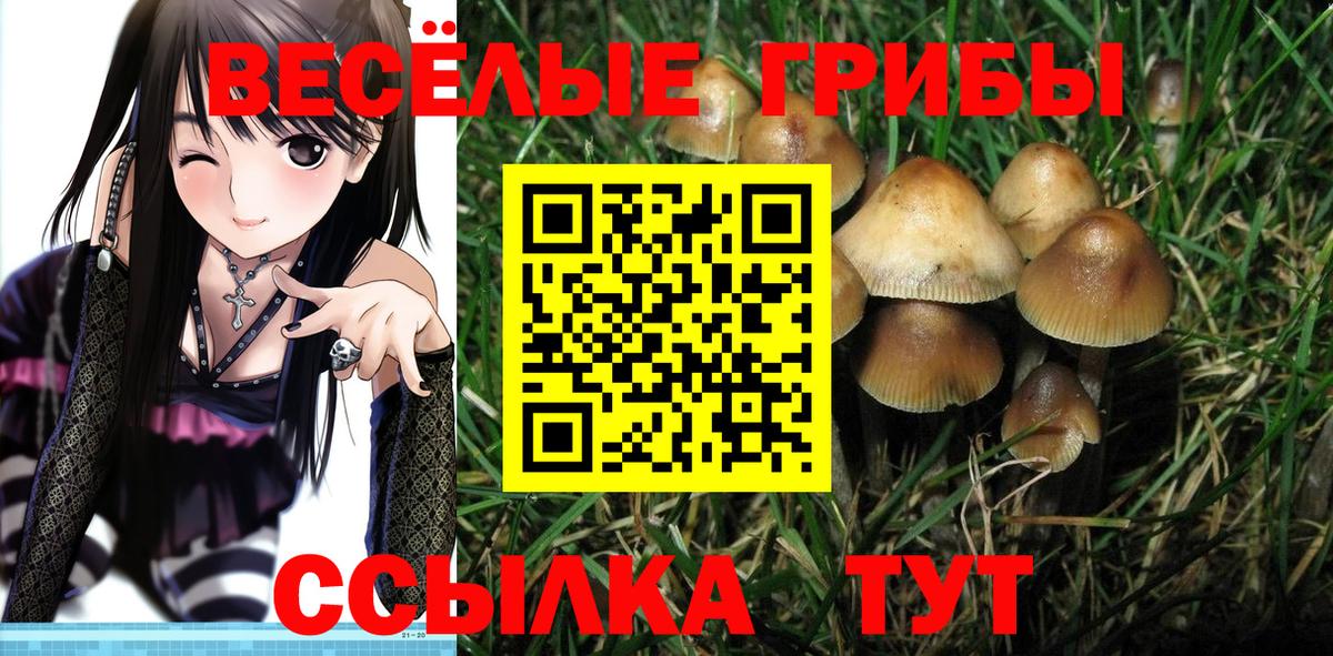 Псилоцибиновые грибы прущие грибы Крымск