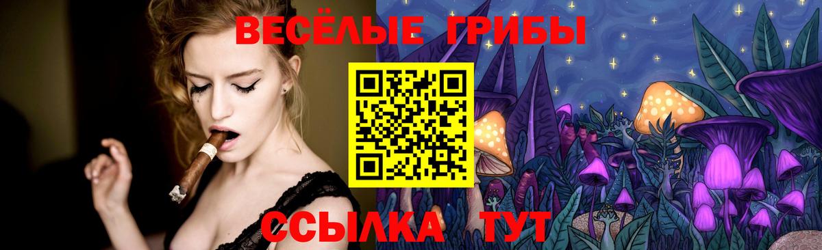 Псилоцибиновые грибы Psilocybe  Вход с VPN  Крымск  Галлюциногенные грибы ЛСД 