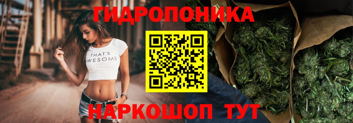 Каннабис планчик  Бошки марихуана семена  Каннабис AK-47  Вход с VPN  Крымск 